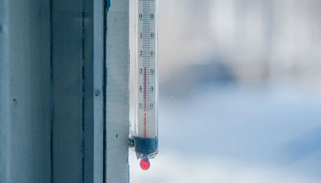 Can You Combine a Sauna and Cold Plunge