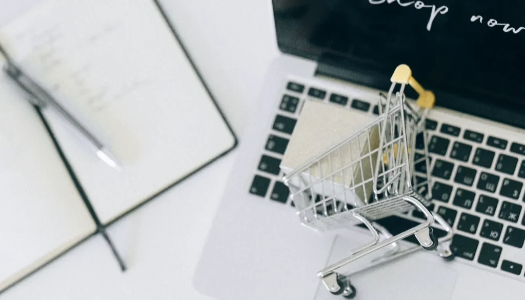 Who Should Buy Lightweight Models
